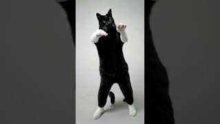 Httpsyoutubecomshortslcps40f9v40featureshared