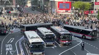 Shibuya Crossing