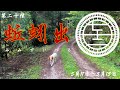 蚯蚓出