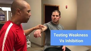 Testing Weakness vs Inhibition Net Worth