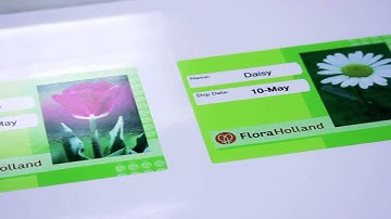 VersaWorks - Variable data printing
