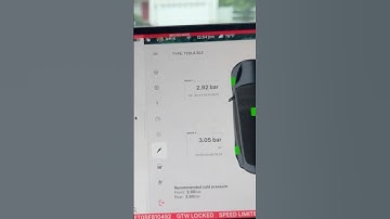 Check Tesla Bluetooth TPMS Battery Level 2021+ Model SX3Y Tire Pressure Monitoring System