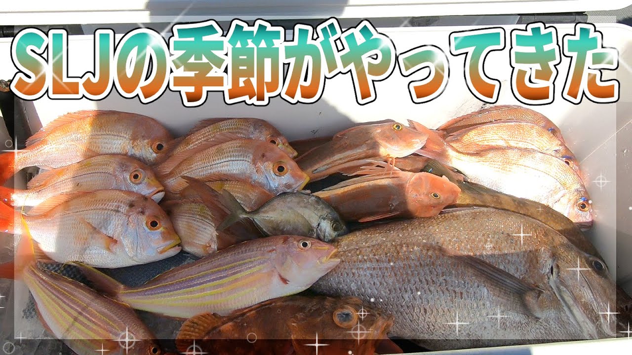 オコゼを肝醤油でたっぷり堪能したい Youtube