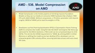 AMD #536 – Model Compression on AMD
