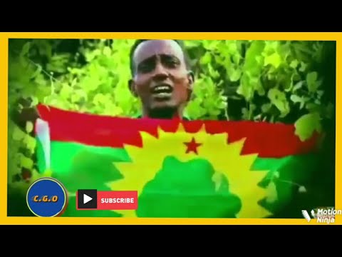 Michuu Seenaa Oromo Music Alaba Oromo Fayaa Jiruu 18 July 2022
