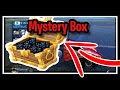 Buying a Mystery Box on Rocket League (Scammer) Rocket League