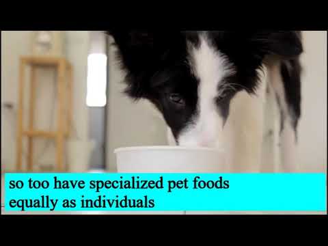 Let’s talk about grain-free For dogs