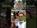 Tanaman anggur, hasil aplikasi pupuk organik eco farming.