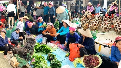 Chợ Phiên Xã Võ Lào Cai | Phiên Chợ Mộc Mạc Của Người Tày Giữa Núi Rừng Tây Bắc / dân vùng cao ,