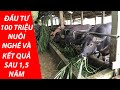 ĐẦU TƯ HƠN 100 TRIỆU NUÔI NGHÉ & KẾT QUẢ SAU 1 NĂM