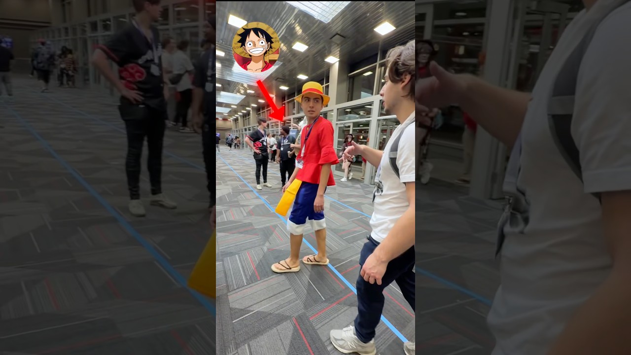 How Many LUFFY’S Can I Find?
