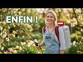 Einhell GE-WS 18/150 : VAUT-IL vraiment son prix ? (Avis)