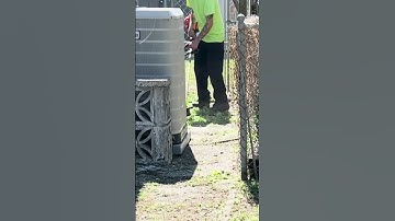 Weed Wacker SKILLS | Sped-Up Lawn Mowing Videos #lawncare #satisfying #timelapse #spedup