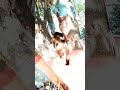Cute #viral #shorts