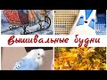 281 #Вышивальные будни/Влог/Закрепка нити на страмине/Дименшенс/Панна/Лука-С/Октябрь