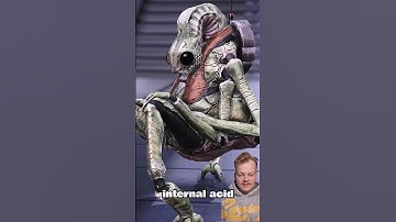 What Were The Keepers? - Mass Effect Lore