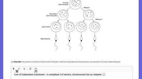 Unit 5 Progress Check FRQ 2