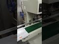 Video Image