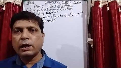 Class IV EVS 29 06 2021 by Mr Rupesh Chapter 3 Plant life parts of plant