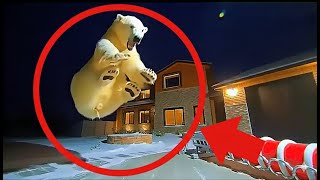 Download Lagu PT. 4🧸CCTV | Bears Getting Scared By Christmas Decorations | Caught on Camera MP3