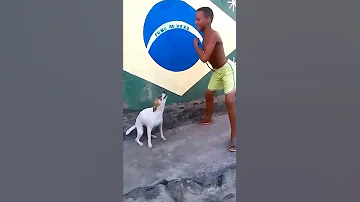رنه باسم محمد 