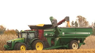 Corn Harvest 2020 | Case IH 8250 Axial Flow Combine Harvesting Corn | Ontario, Canada