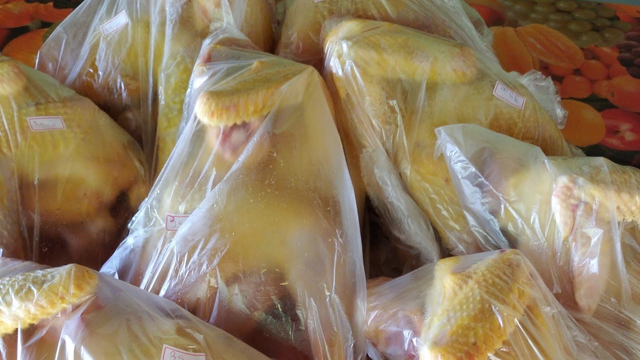 Criar galinha caipira da lucro? Minha criação como está🐓🐣🐤 Criar galinha caipira da lucro? Minha criação como está🐓🐣🐤