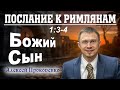 Послание к римлянам 1:3-4. | Божий Сын. | Алексей Прокопенко.