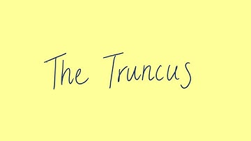 The truncus | Unit 1 and 2 VCE Maths Methods