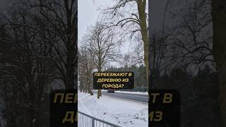 ПОЛЬСКОЕ СЕЛО ТЕБЯ УДИВИТ! #shorts #деревня #село #польша