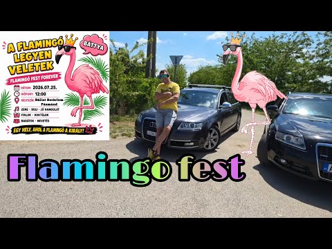 Flamingo feszt JULIUS 25.