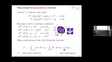 Eduard Rohan speaks at the Nečas  Seminar on Continuum Mechanics on March 25, 2024.