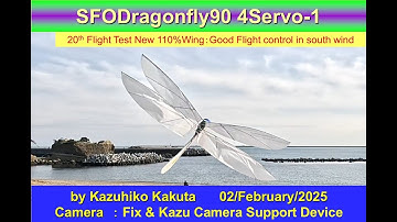 サーボ駆動トンボ型羽ばたき機SFODragonfly90-4servo-1 58g  :20th Flight Test Good Flight control in south wind