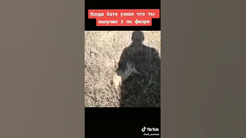 Суслик убигает и орет
