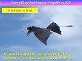 サーボ駆動ドラゴン型羽ばたき機 ナイトフューリー SFONightFury108 70g :23th Flight in Wind