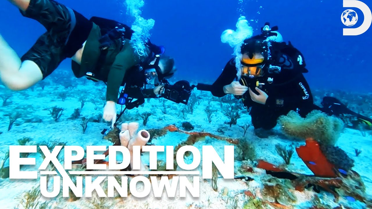 Film backdrop image for Josh Gates Finds an American Plane Wreck Underwater (2023)