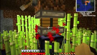 Celebrity Technic Pack Hardcore, Episode 4: The quest for the animated piston Profile