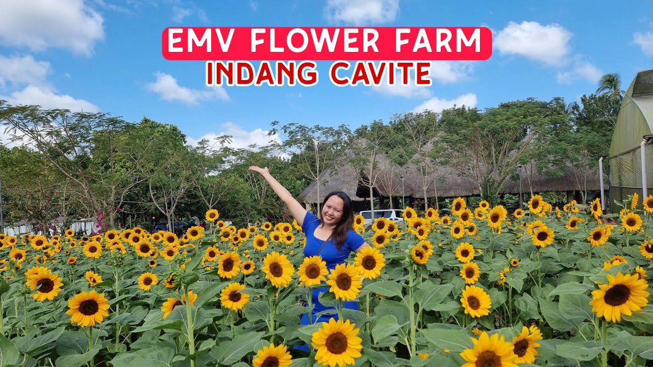 EMV FLOWER FARM 2024 | INDANG CAVITE