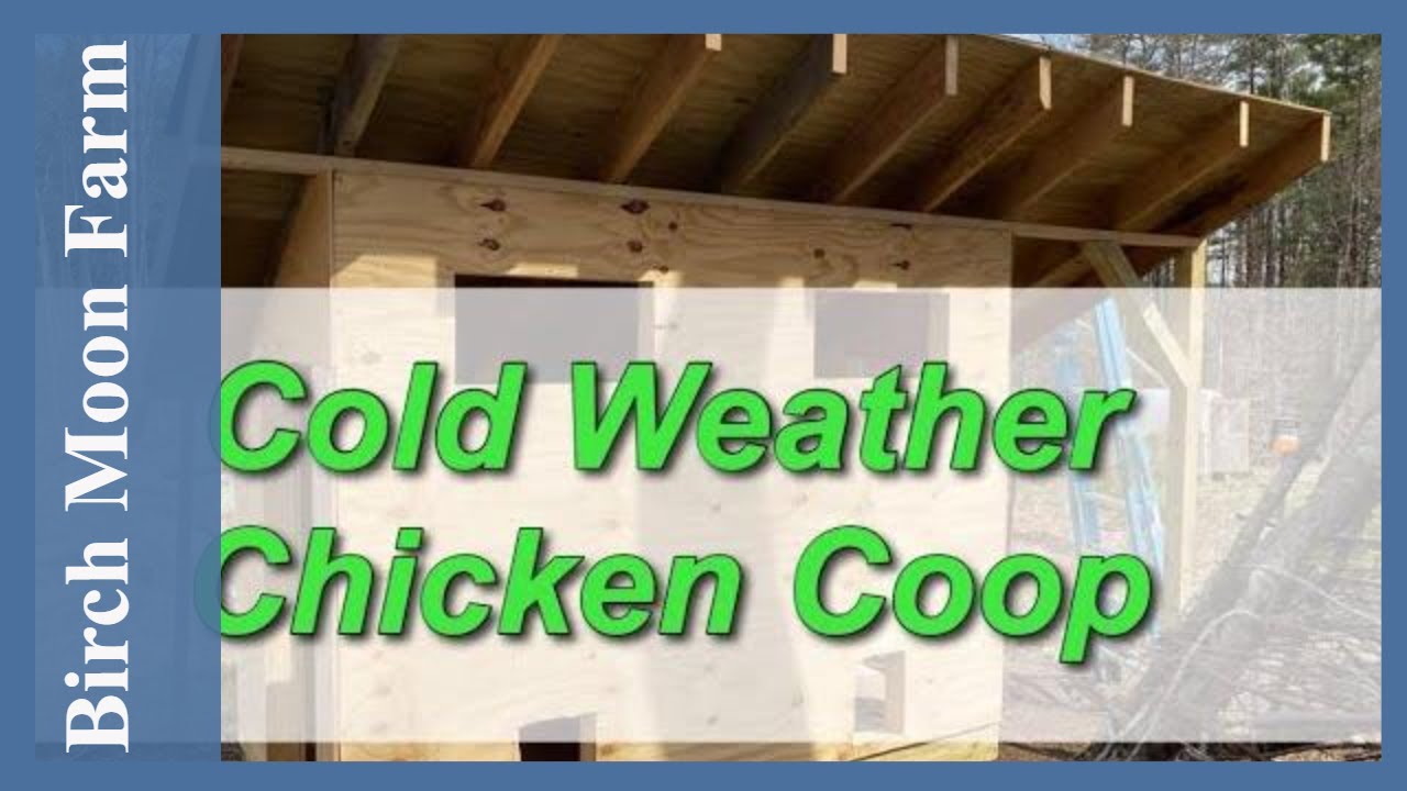 Building a Chicken Coop Pt. 6 - Installing Insulation and Vapor