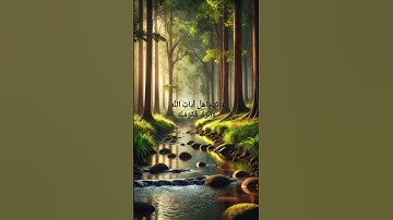 سورة آل عمران (مشارى راشد) #قرآن #quran #الله #islam #تلاوات #سورة_آل_عمران #مشاري_العفاسي #الحمدلله