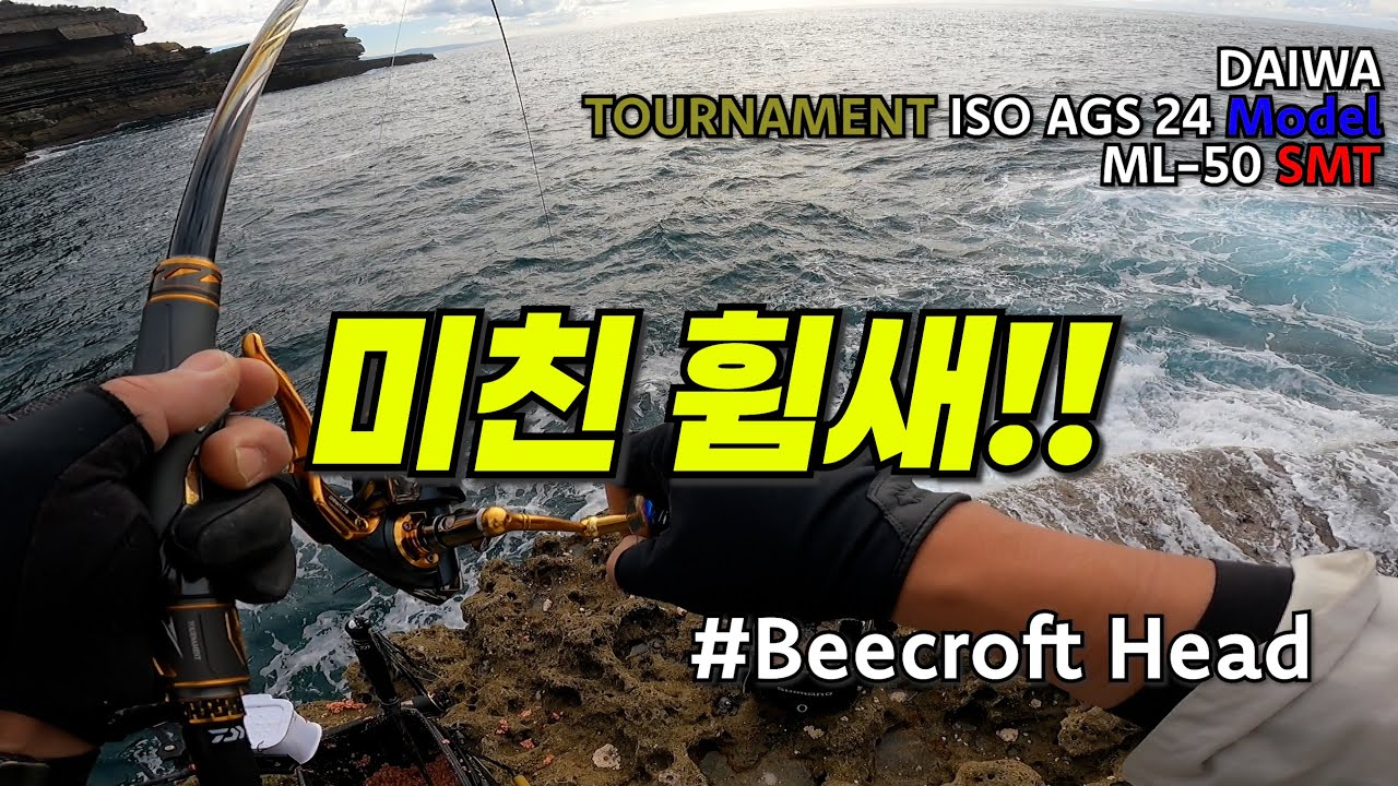 다이와 토너먼트 ISO 미친 휨새 / 호주 시드니 낚시 브이로그 Beecroft