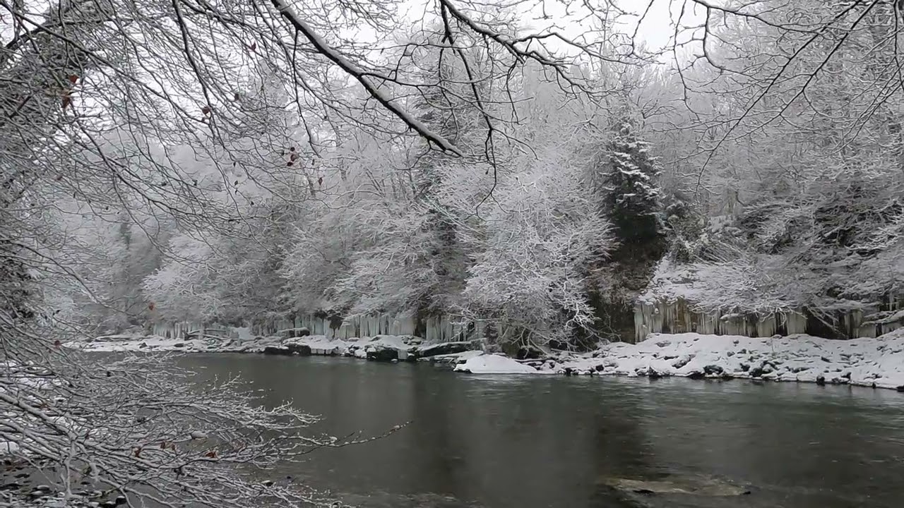 2026 Winter - 10.3 - Argen River - Wangen im Allgaeu