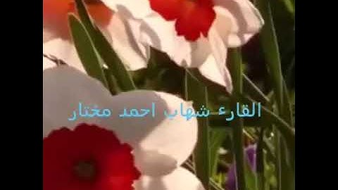 تلاوة عراقيه من سورة الإنسان بصوت القارئ ملا شهاب البياتي