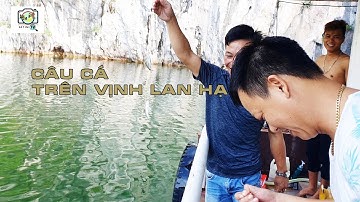 Câu cá trên vịnh Lan Hạ nhiều quá trời ^^