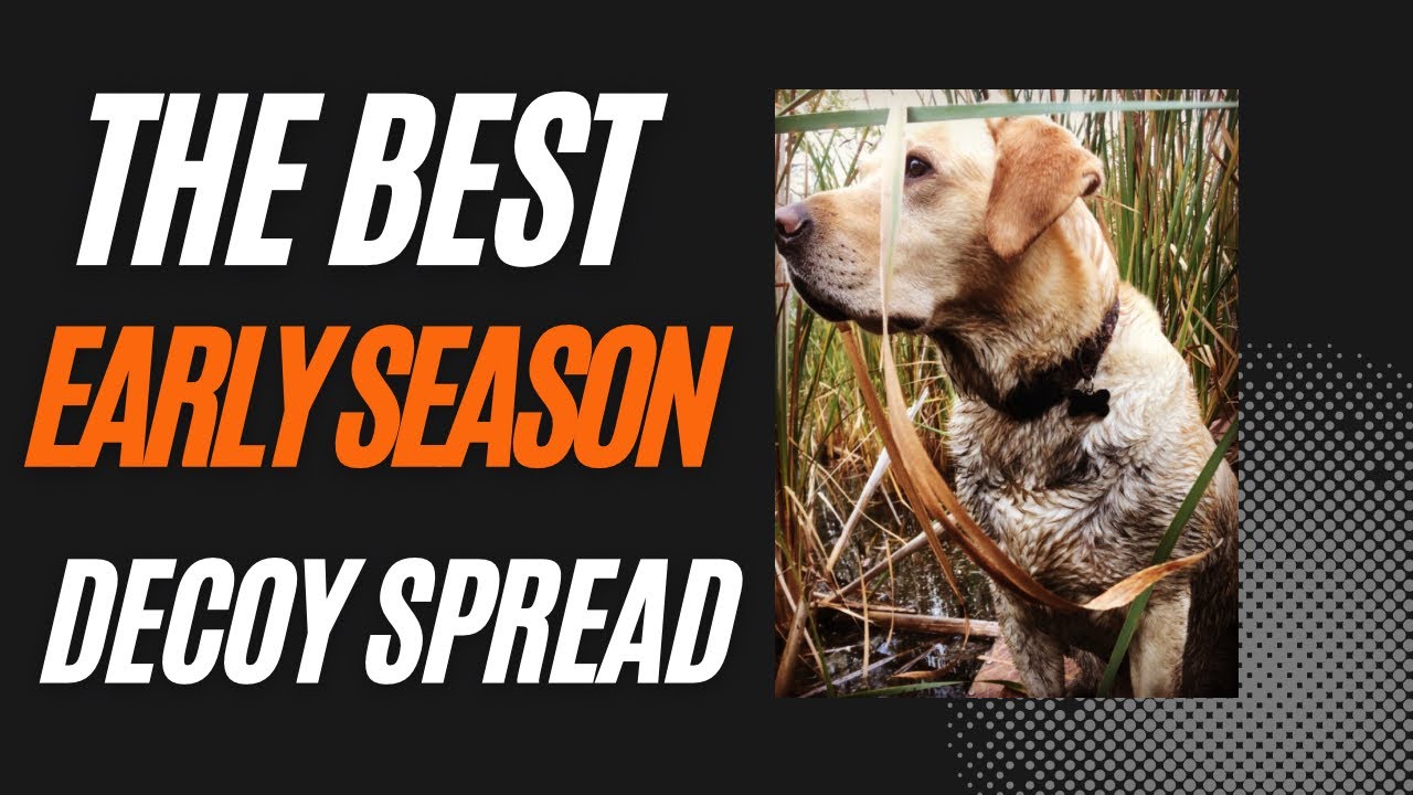 Waterfowl Whiteboard Wednesday 1. The BEST early season goose decoy