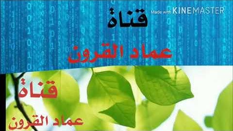 ماتيسر من سورة الزمر للقارئ حماد بن عزي تلاوه تذرف لها العيون