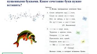 Урок 30.1  СЛОВА, ОТВЕЧАЮЩИЕ НА ВОПРОСЫ «КАКАЯ?», «КАКИЕ?», И ПРАВИЛА ПРАВОПИСАНИЯ ИМЕН СОБСТВЕННЫХ