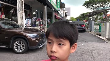 IPhone X with Zhiyun Smooth Q