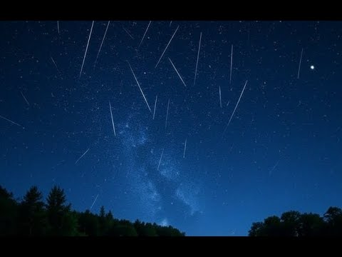    2025     300    12 2025