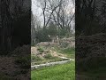 Having some fun with my animal encounter